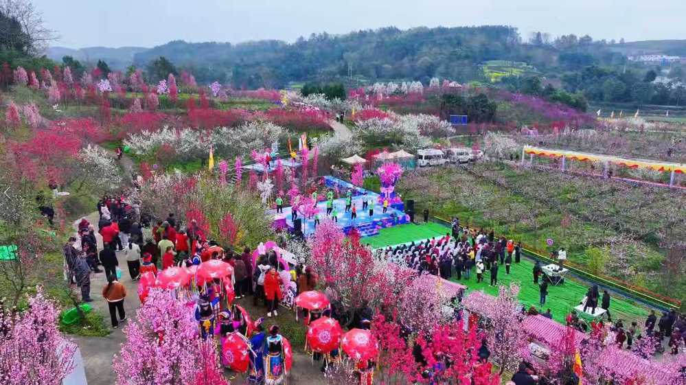 微信图片_20260317092318_19_62