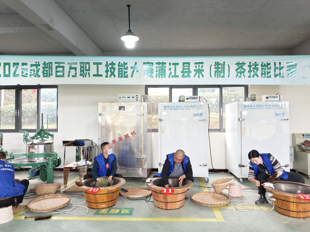 炒制茶现场
