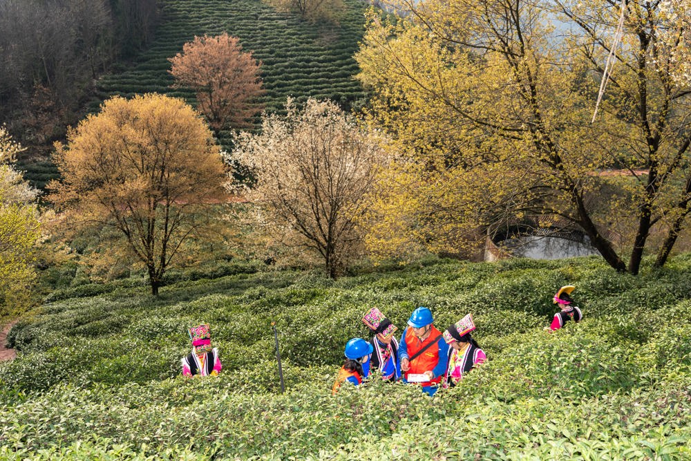 460d717ec81948238f36853f1ec31b01