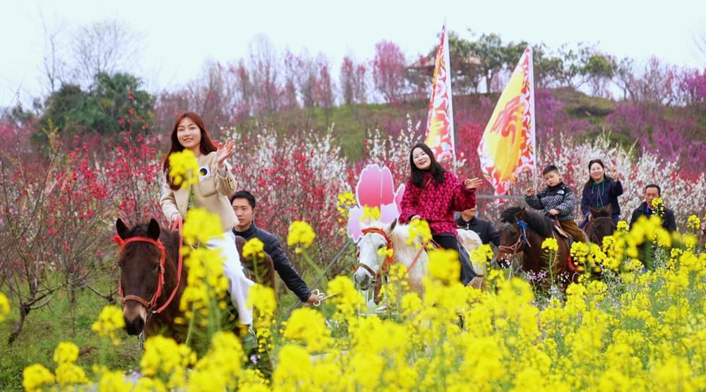 微信图片_20260317092323_20_62