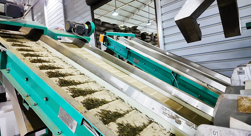 生产车间机器轰鸣 白钦文摄