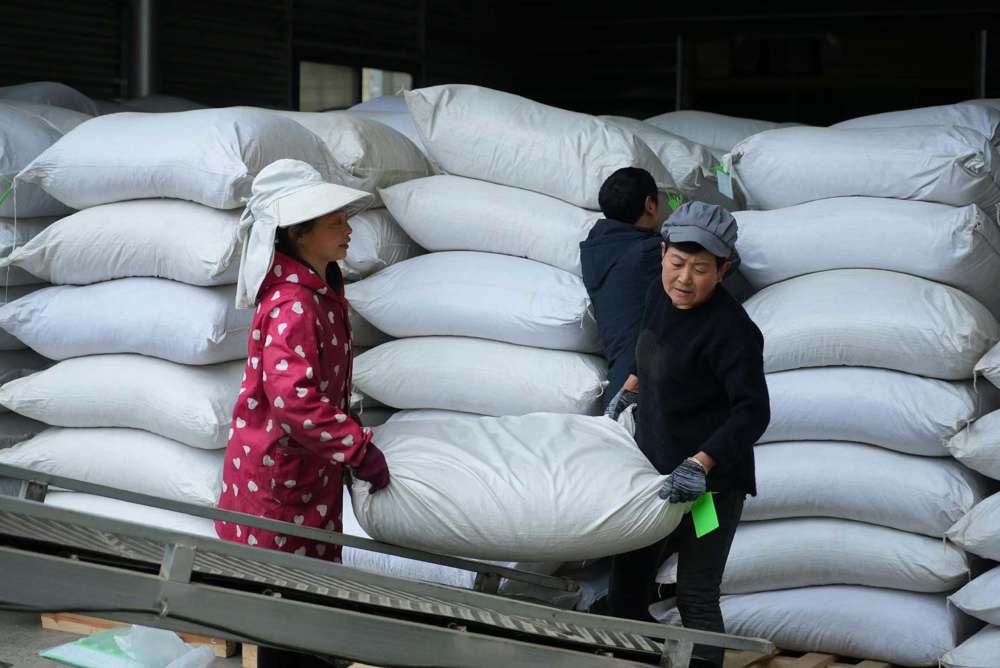 &nbsp; &nbsp; &nbsp; 