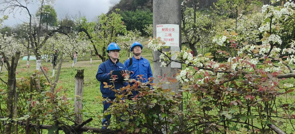 微信图片_20260317145032_276_401