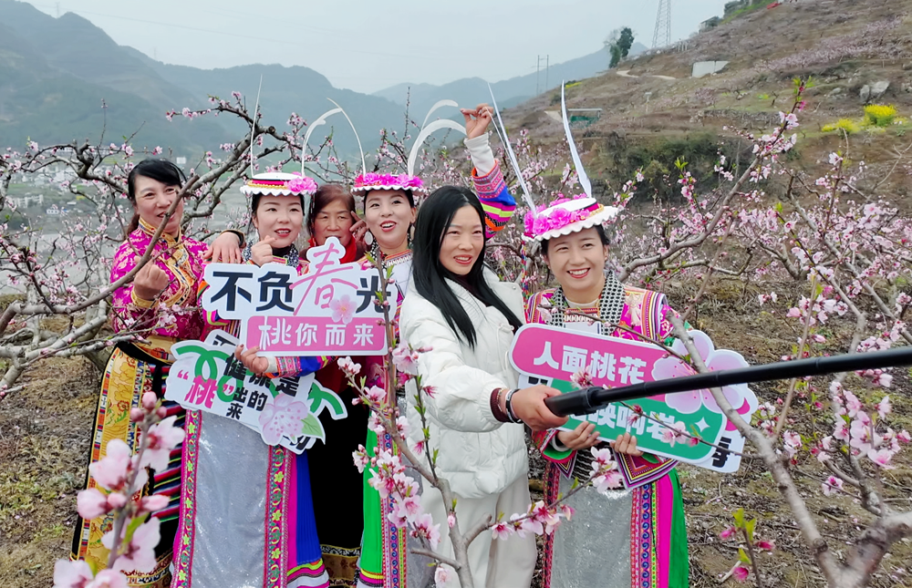 游客在响韵桃源景区拍照打卡