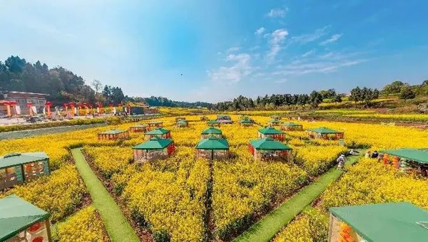 资阳乐至的春天热辣滚烫