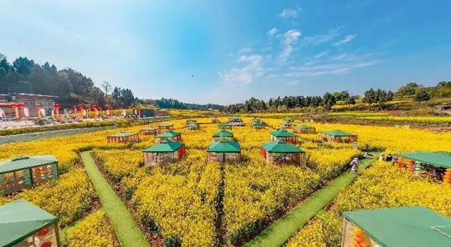 资阳乐至的春天热辣滚烫