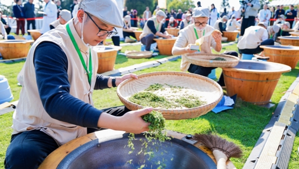 高山云雾出好茶！28位制茶高手洪雅“斗法”
