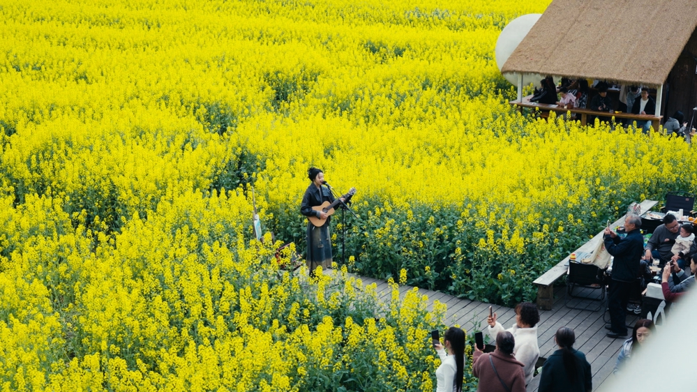 游客在五星村花海中欣赏音乐（白头镇政府供图）