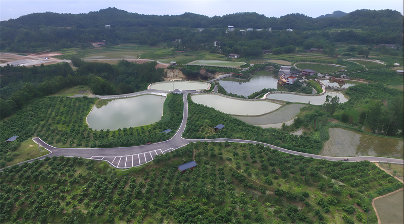 水产水果产业园