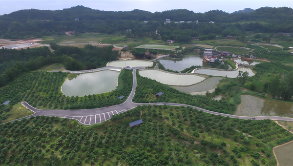 百年古村绽新颜 ——巴中平昌县华山村争创全国文明村镇的生动实践