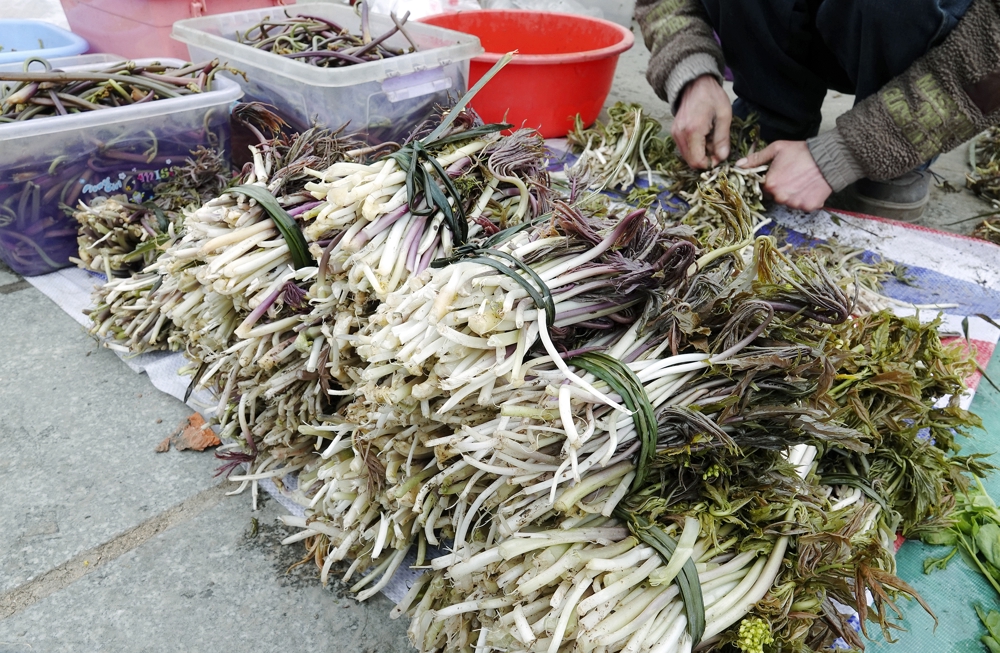 山野集市上的野菜