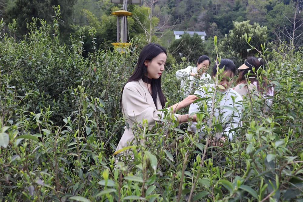 mmexport1775005296140