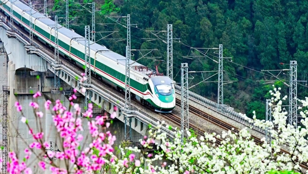 坐火车去春游！西南地区加开多趟春游研学列车