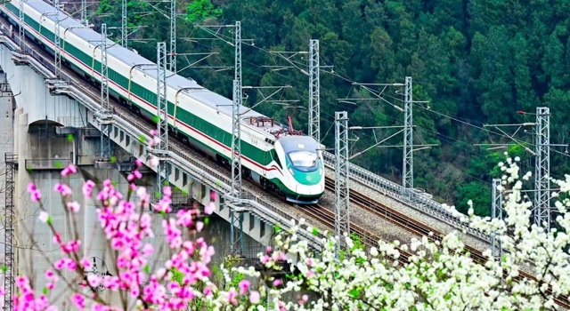 坐火车去春游！西南地区加开多趟春游研学列车