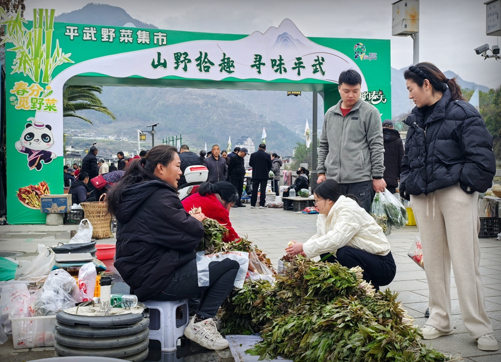 游客购买山野菜