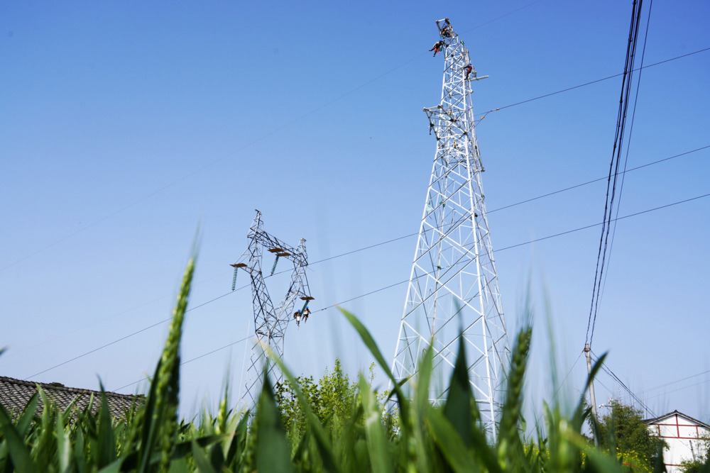 微信图片_20260402161441_799_364 微信图片_20260402161441_799_364