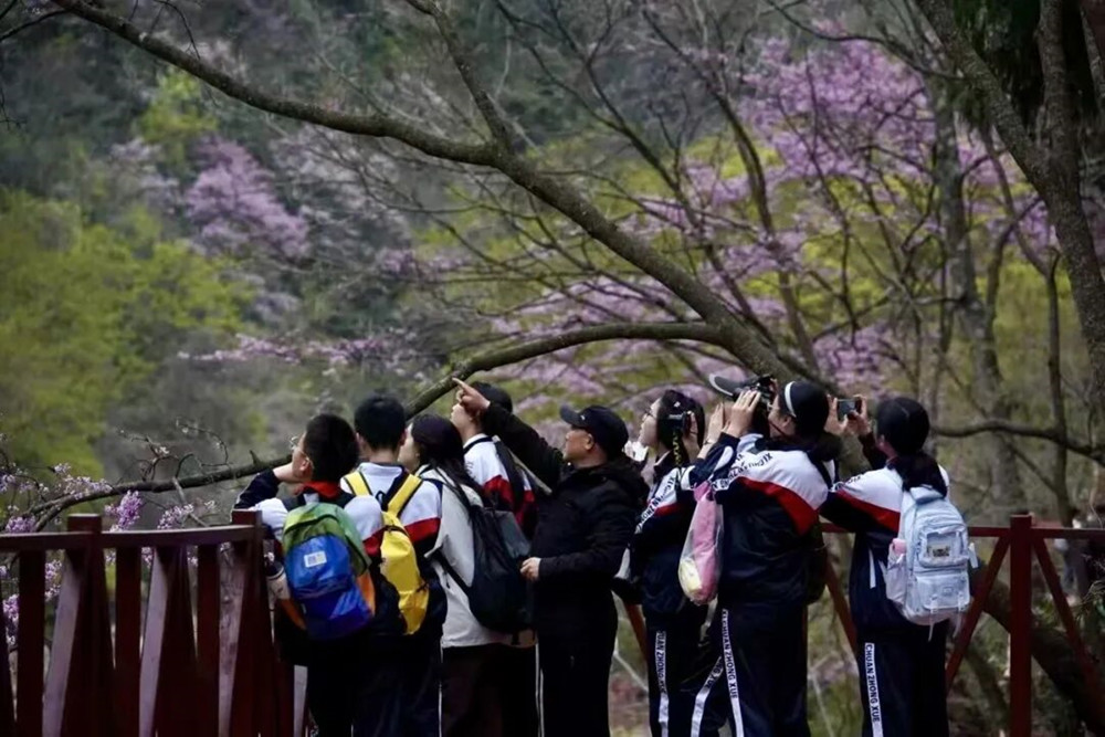 eae418bc6fbbe1411aab3adfc77fc370