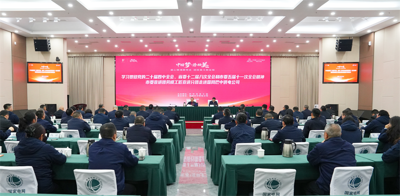 市总图片3