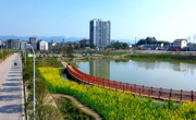 达州大竹县石河镇绘就和美乡村新图景