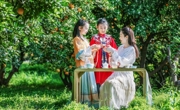 花果同树橘香漫 彭山黄丰开启“春日嘉年华”