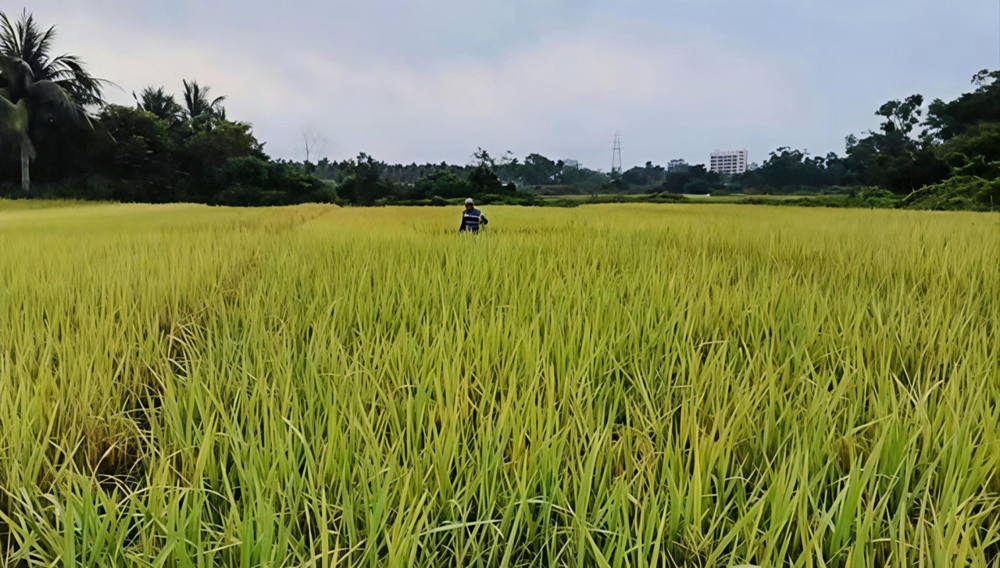 QQ图片20260410093436