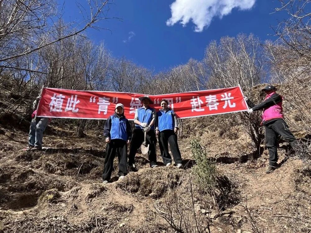 植树活动现场（受访单位供图）