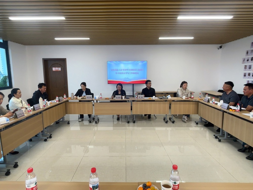 工作推进会现场（甘孜州总供图）