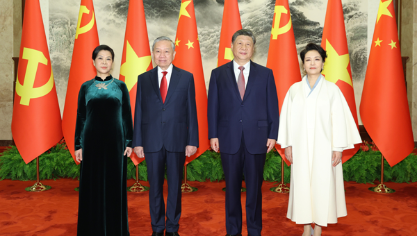 习近平同越共中央总书记、国家主席苏林举行会谈