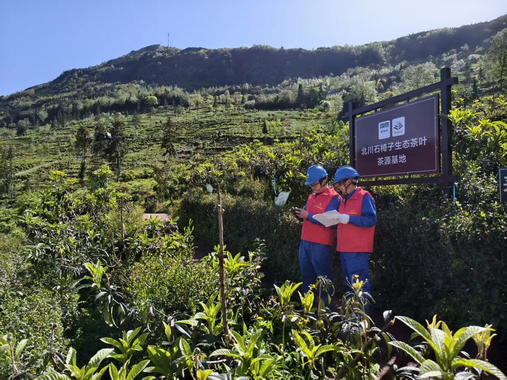 mmexport1776425512171