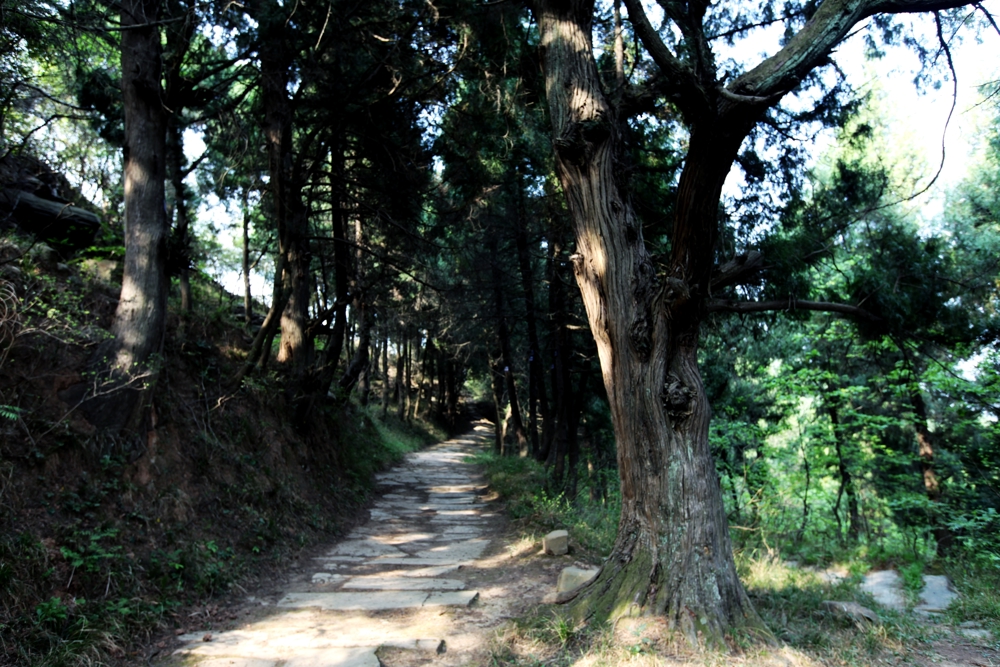 古蜀道