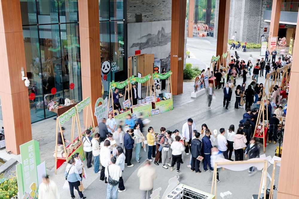“书香游园·新都集韵”互动游园会
