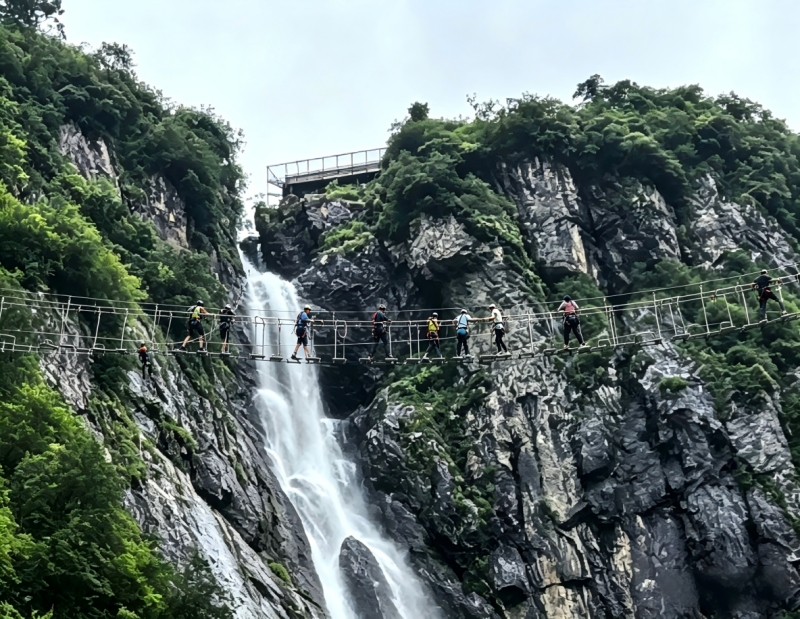 图片 5_副本