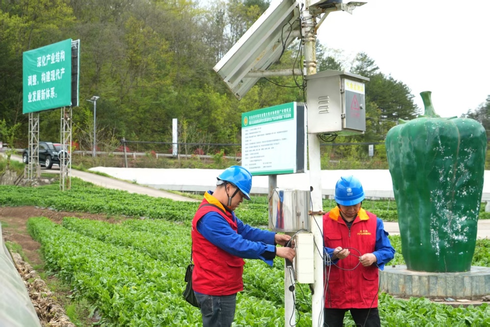 微信图片_20260424115313_843_364