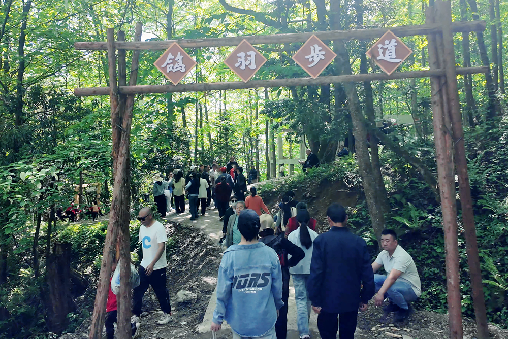 游客在林间赏花