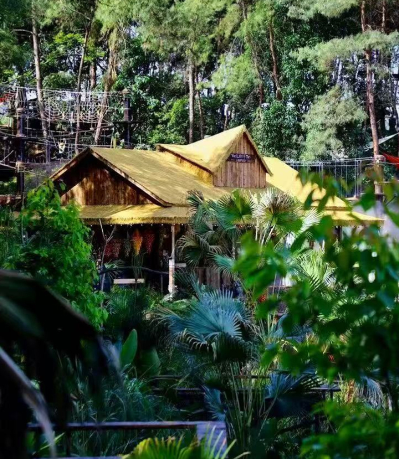 微信图片_20260510143349_副本