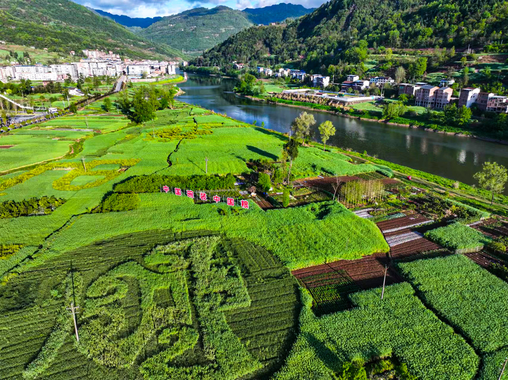 中国粮