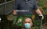 长大了！大熊猫“和花”“和叶”正式分居