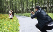 达州大竹：繁花盛放 生态风景线扮靓园区