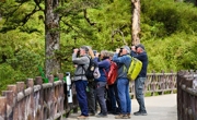 30支劲旅集结瓦屋山，探秘全国鸦雀栖息地