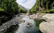 从“靠山吃山”到“养山富民”！绵阳平武老河沟片区蹚出“生态饭碗”新路