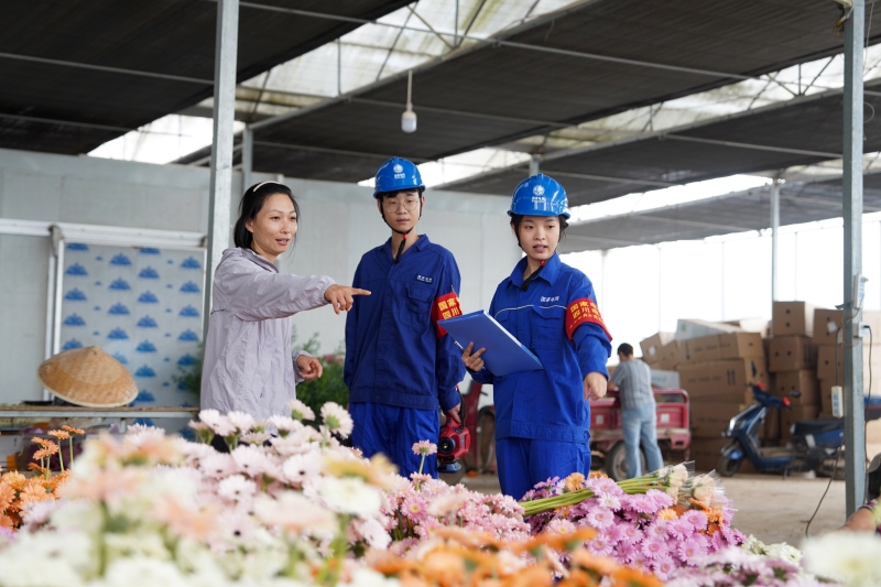 图：电力人员走访种花卉基地用电需求（苟华彬摄）