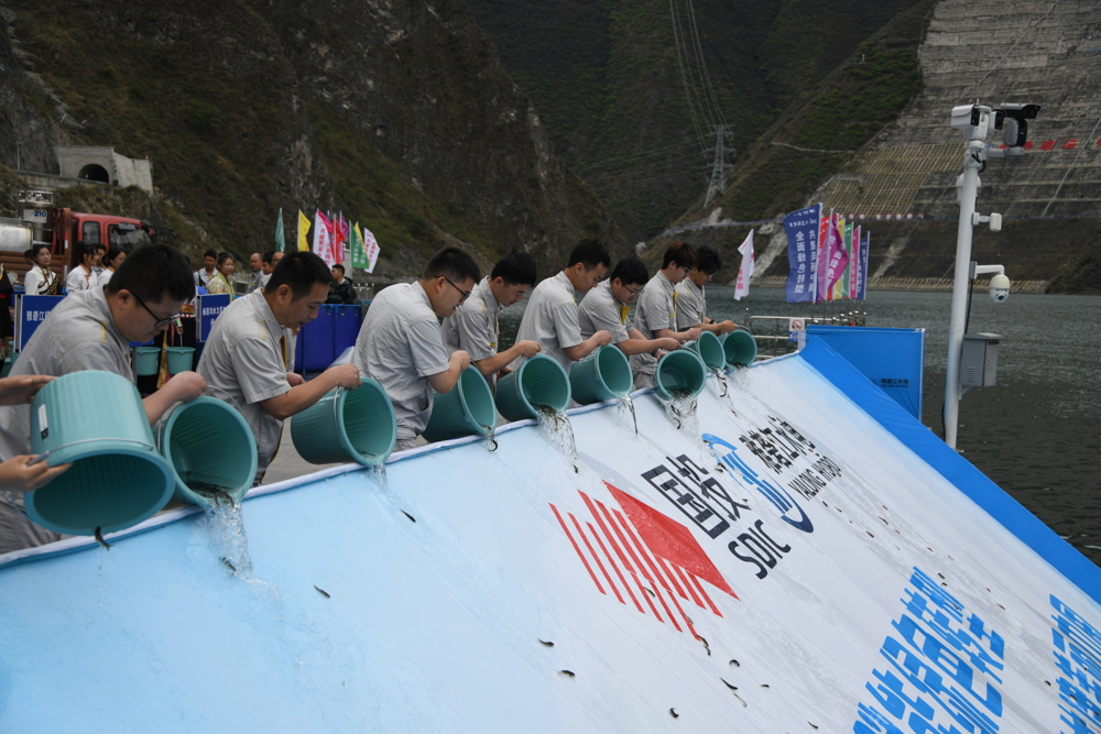 微信图片_20260605114154_24_103