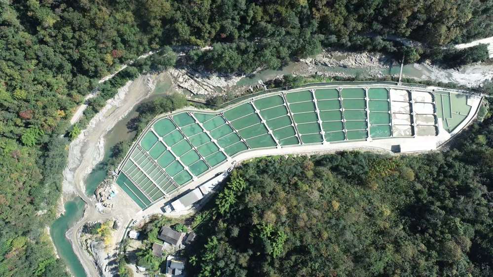 平武锁江冷水鱼养殖基地