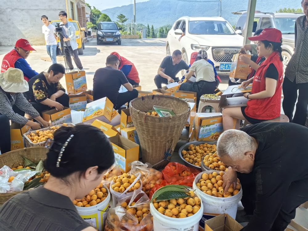 微信图片_20260605155057_956_364 微信图片_20260605155057_956_364
