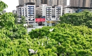 达州大竹：城市里人与自然的故事