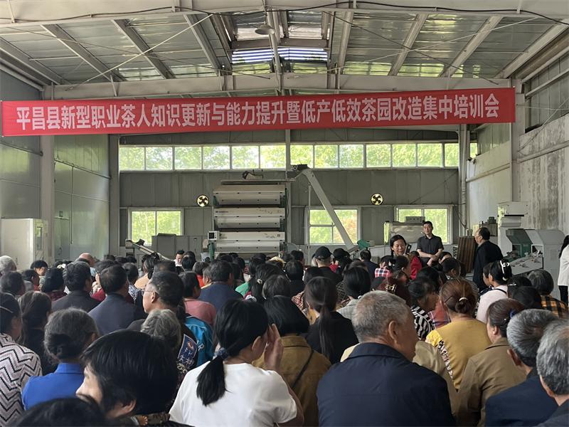 茶农集中培训会