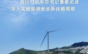 践行习近平总书记重要论述深入实施能源安全新战略