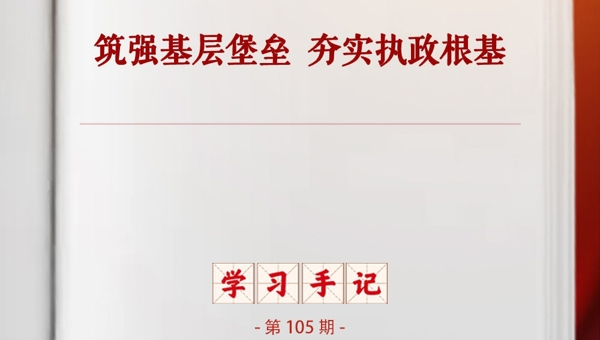 学习手记丨筑强基层堡垒 夯实执政根基