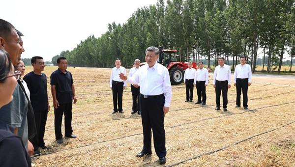 习近平在山东德州考察时强调 以扎实举措推进农业农村现代化 用勤劳和智慧创造更加美好生活