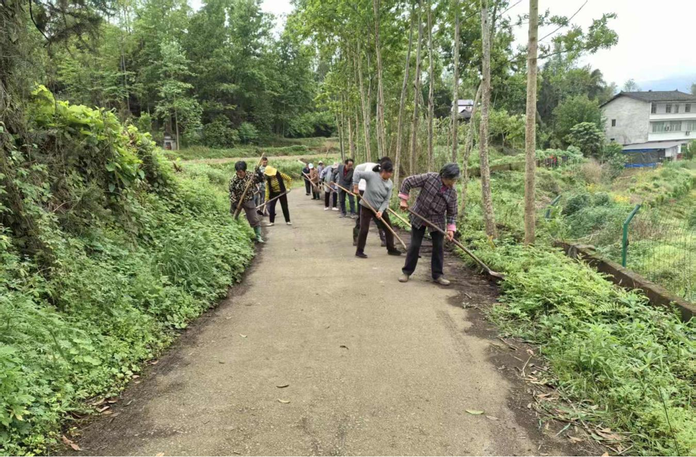 村民清理道路周边